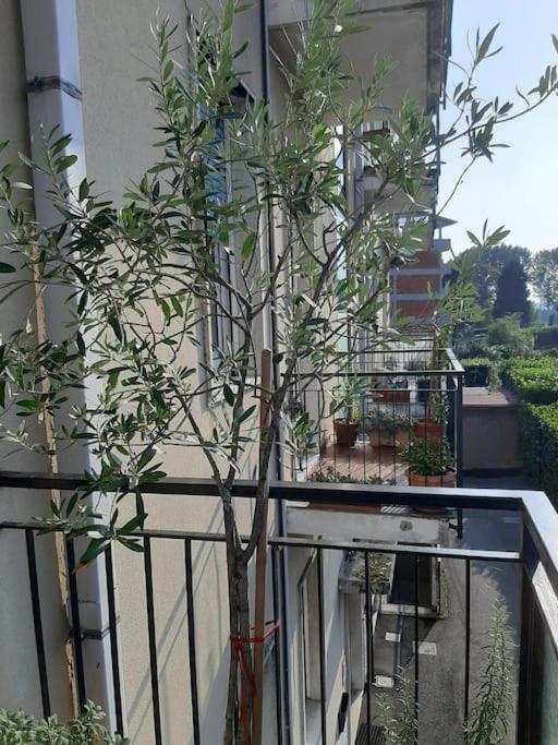 Appartement Mice Ottima Soluzione Per Il Centro E La Svizzera Como